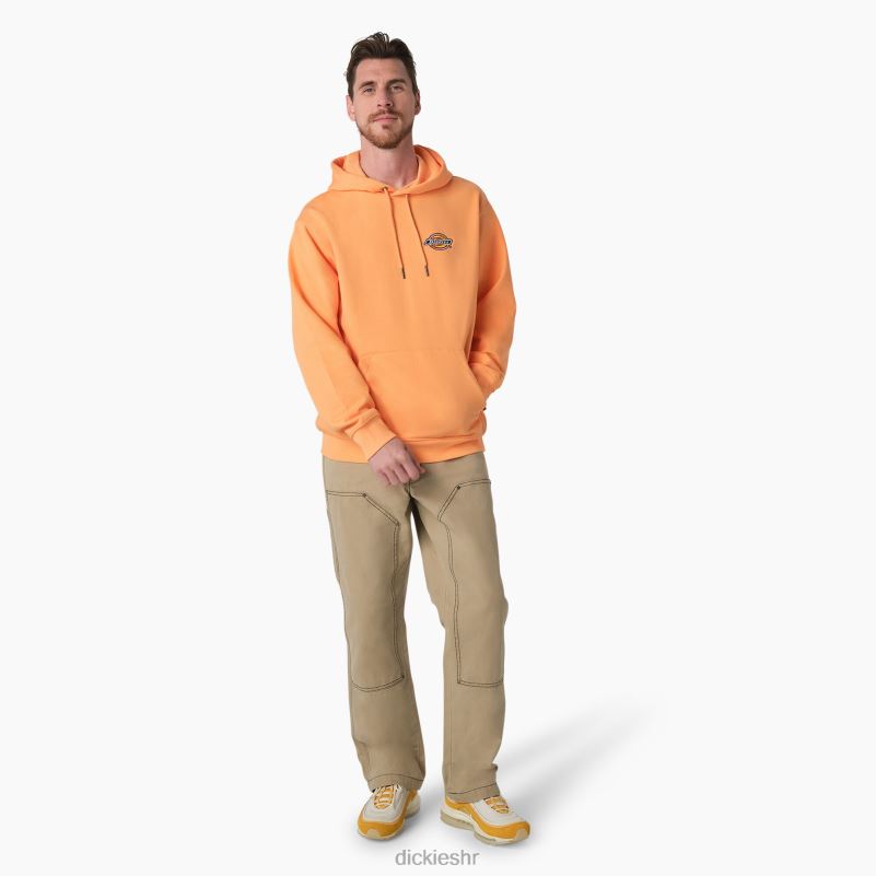 majica s kapuljačom s izvezenim logotipom na prsima muškarci Dickies redovito 6BPL61210 odjeća