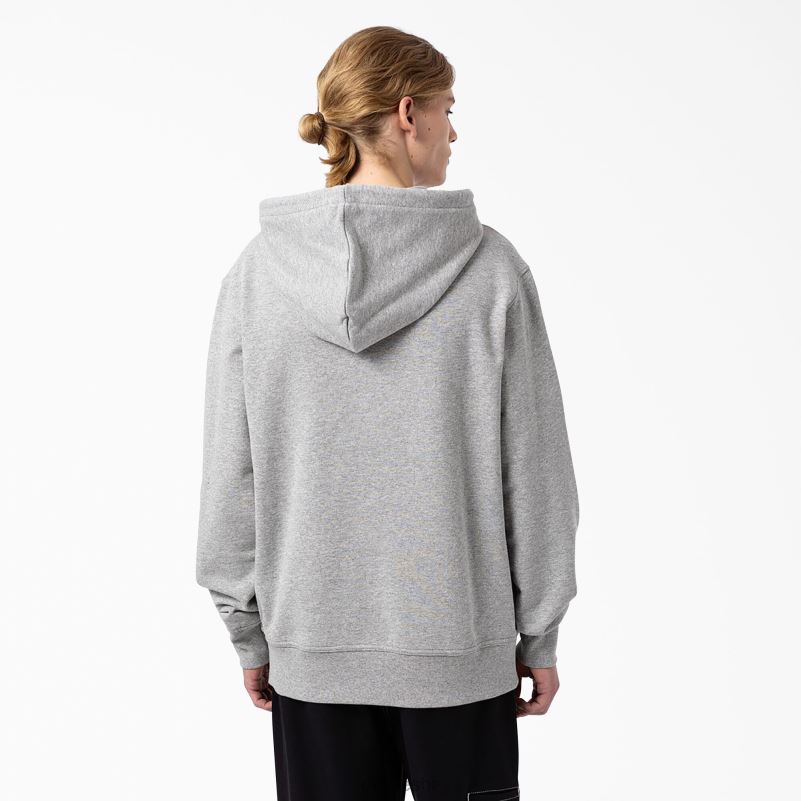 skateboarding prsa logo hoodie muškarci Dickies redovito 6BPL61135 odjeća