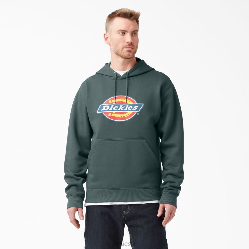 vodoodbojna majica s kapuljačom u tri boje muškarci Dickies Lincoln Green (ln) 6BPL61108 odjeća