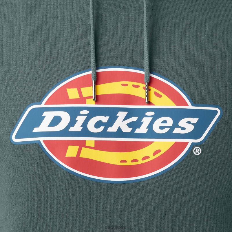 vodoodbojna majica s kapuljačom u tri boje muškarci Dickies Lincoln Green (ln) 6BPL61108 odjeća