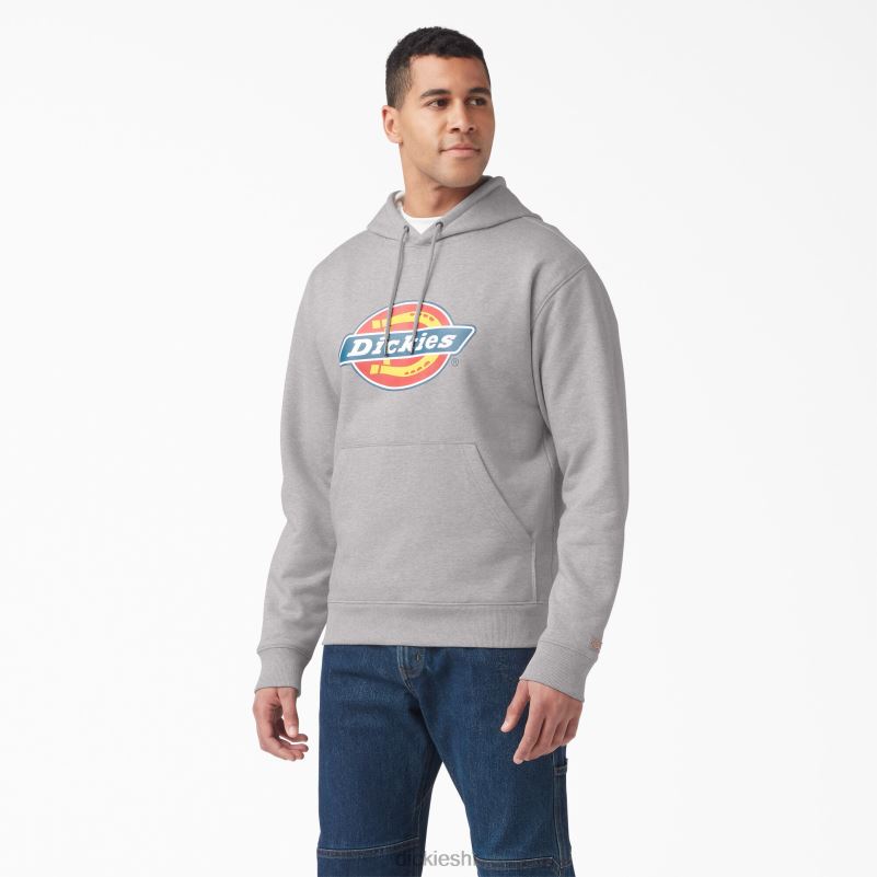 vodoodbojna majica s kapuljačom u tri boje muškarci Dickies vrijesak sivi (hg) 6BPL61106 odjeća