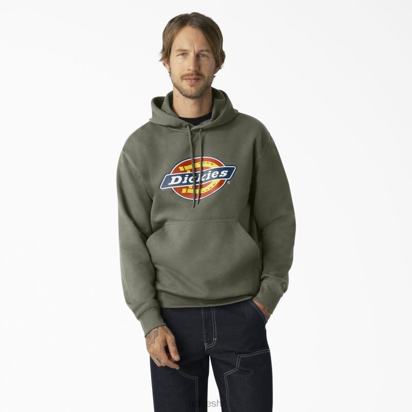 vodoodbojna majica s kapuljačom u tri boje muškarci Dickies zelena mahovina (ms) 6BPL61109 odjeća