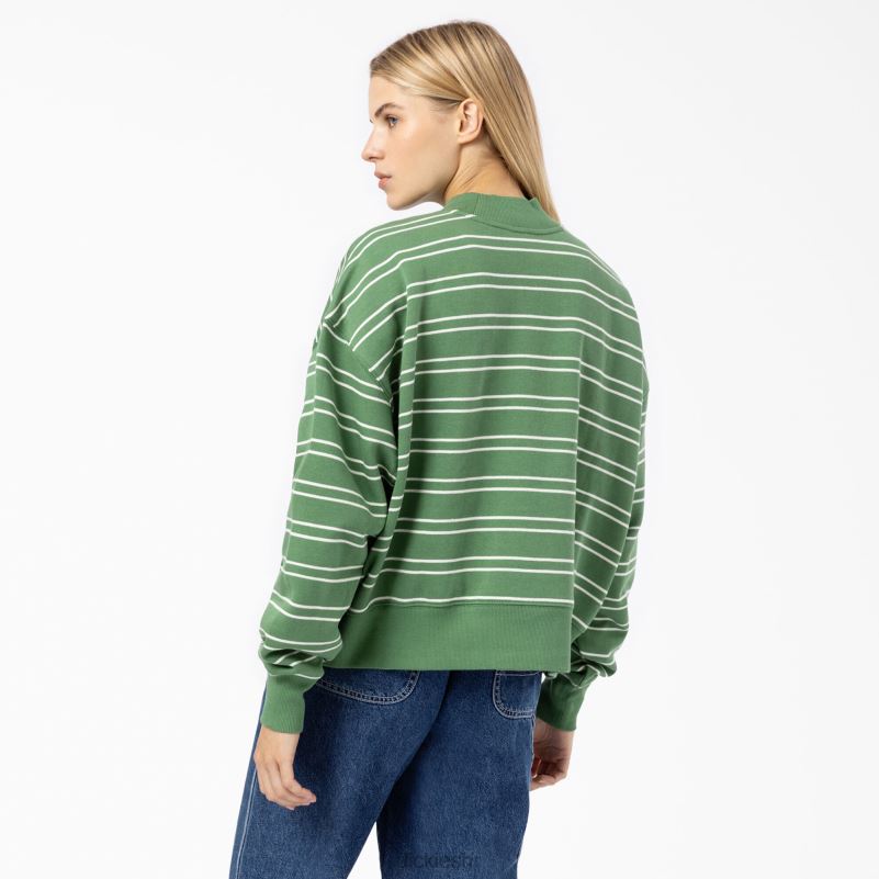 westover prugasta majica žene Dickies bijelo/zelena pruga (gws) 6BPL62290 odjeća
