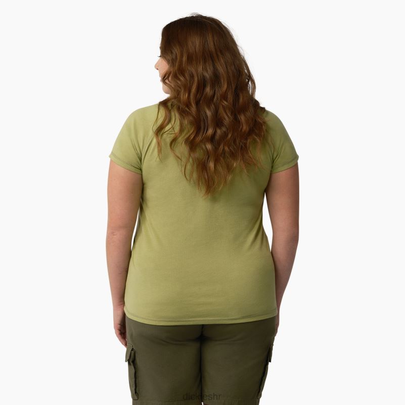 plus cool majica kratkih rukava žene Dickies paprat vrijesak (f2h) 6BPL61591 odjeća