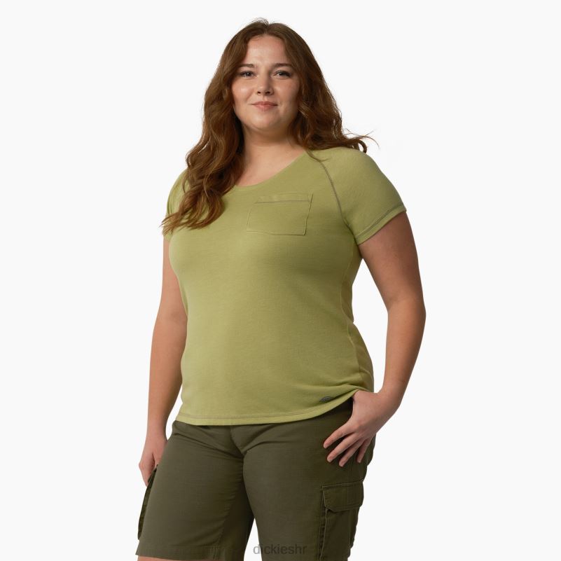 plus cool majica kratkih rukava žene Dickies paprat vrijesak (f2h) 6BPL61591 odjeća