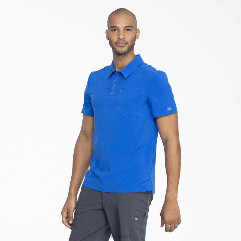 eds Essentials Medical polo majica muškarci Dickies kraljevsko plava (rb) 6BPL6735 odjeća