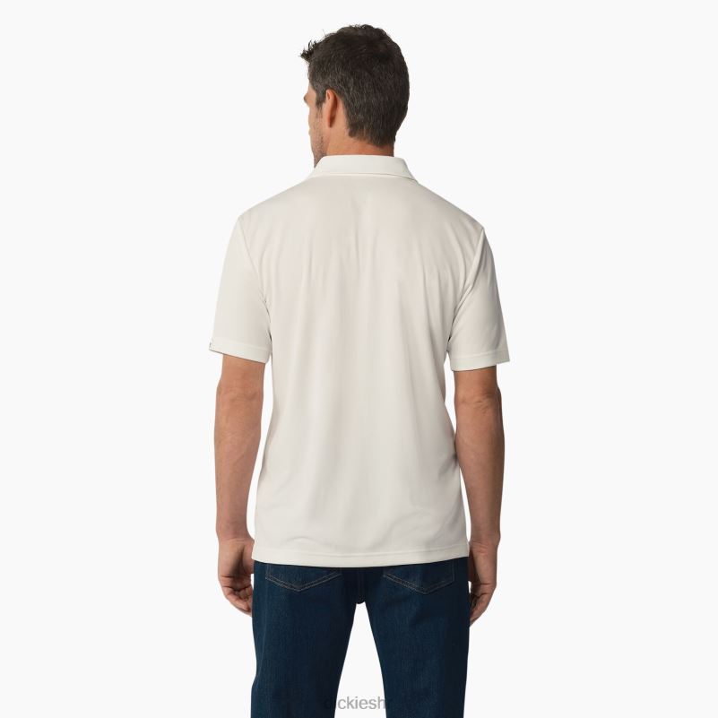 polo majica kratkih rukava muškarci Dickies bijelo (wh) 6BPL6673 odjeća