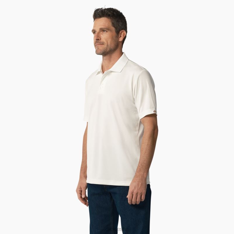 polo majica kratkih rukava muškarci Dickies bijelo (wh) 6BPL6673 odjeća