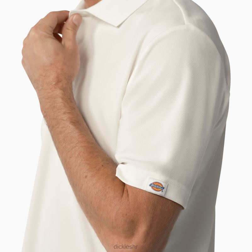 polo majica kratkih rukava muškarci Dickies bijelo (wh) 6BPL6673 odjeća