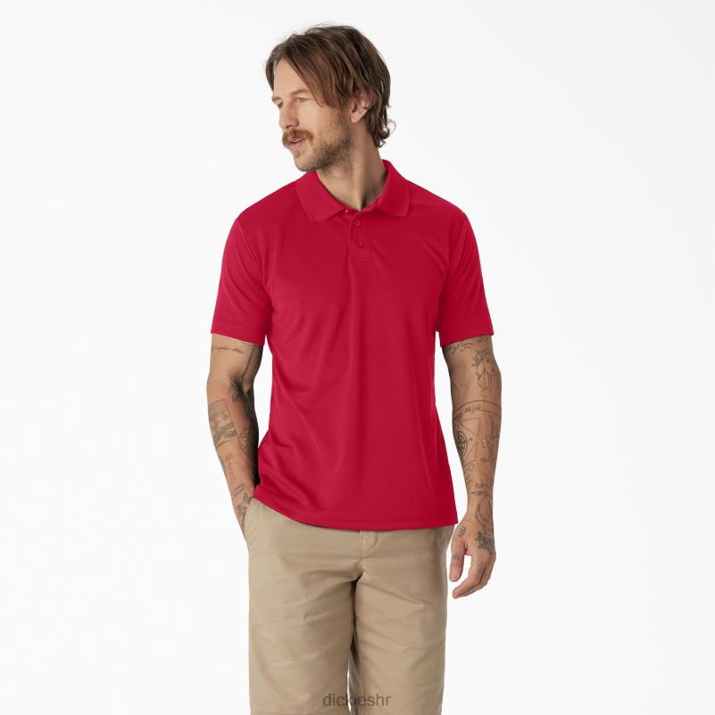 polo majica kratkih rukava muškarci Dickies crvena jabuka (lr) 6BPL6672 odjeća