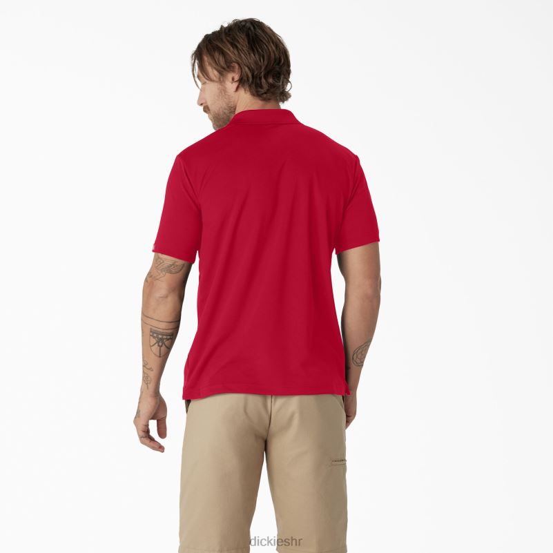 polo majica kratkih rukava muškarci Dickies crvena jabuka (lr) 6BPL6672 odjeća