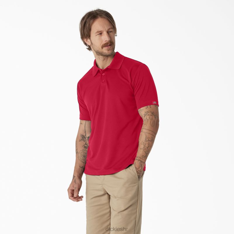 polo majica kratkih rukava muškarci Dickies crvena jabuka (lr) 6BPL6672 odjeća