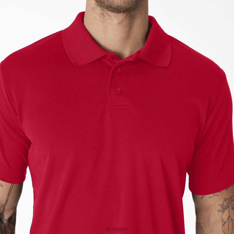 polo majica kratkih rukava muškarci Dickies crvena jabuka (lr) 6BPL6672 odjeća