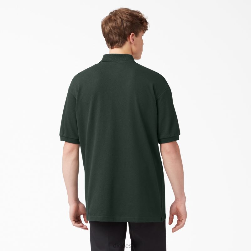 veličina za odrasle pique polo majica kratkih rukava muškarci Dickies lovačko zeleno (gh) 6BPL6664 odjeća
