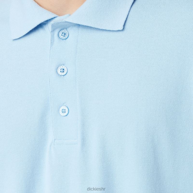 veličina za odrasle pique polo majica kratkih rukava muškarci Dickies svijetloplava (lb) 6BPL6666 odjeća