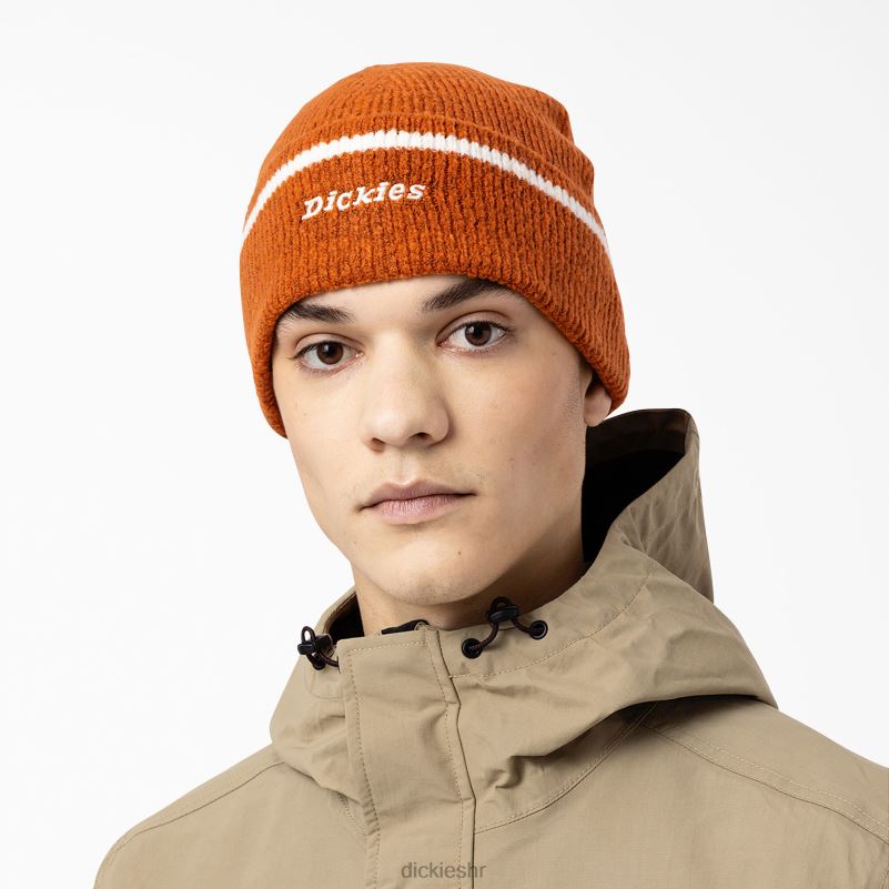 Chalkville kapa uniseks Dickies medenjak smeđi (tj.) 6BPL62923 pribor