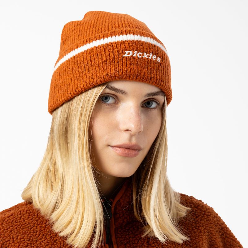 Chalkville kapa uniseks Dickies medenjak smeđi (tj.) 6BPL62923 pribor