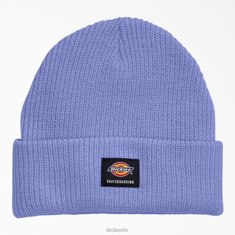 skateboarding kapa s manžetama uniseks Dickies jacaranda (j2a) 6BPL62827 pribor