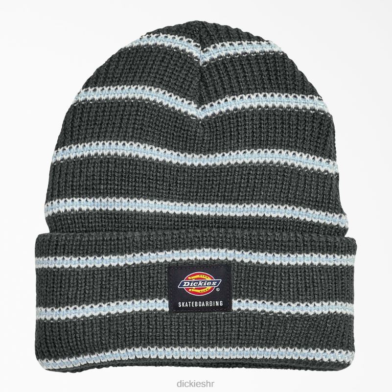 skateboarding kapa s manžetama uniseks Dickies ugljena mini pruga (csm) 6BPL62824 pribor