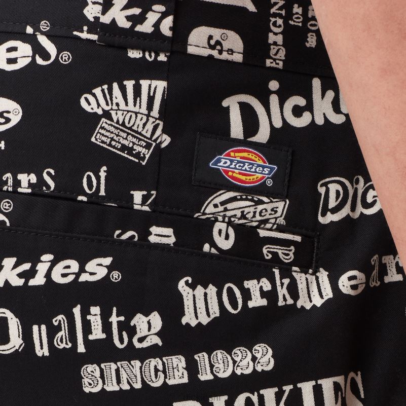 Radne hlače s logotipom 100 godina muškarci Dickies 100-godišnji ispis baštine (rps) 6BPL6333 radna odjeća