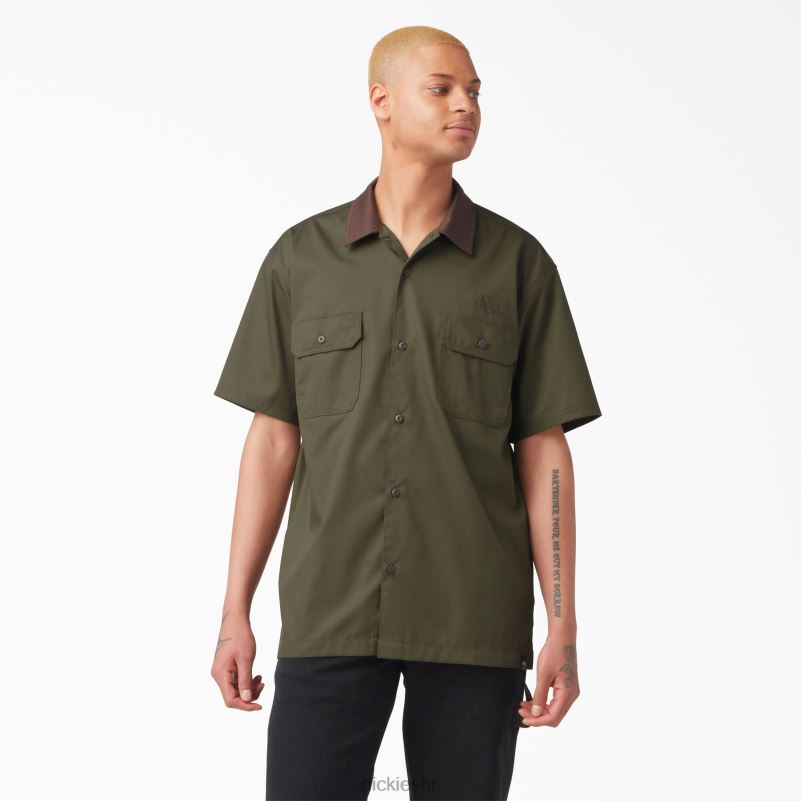 vincent alvarez radna košulja s blok ovratnikom muškarci Dickies vojno zelena (ml) 6BPL6758 radna odjeća