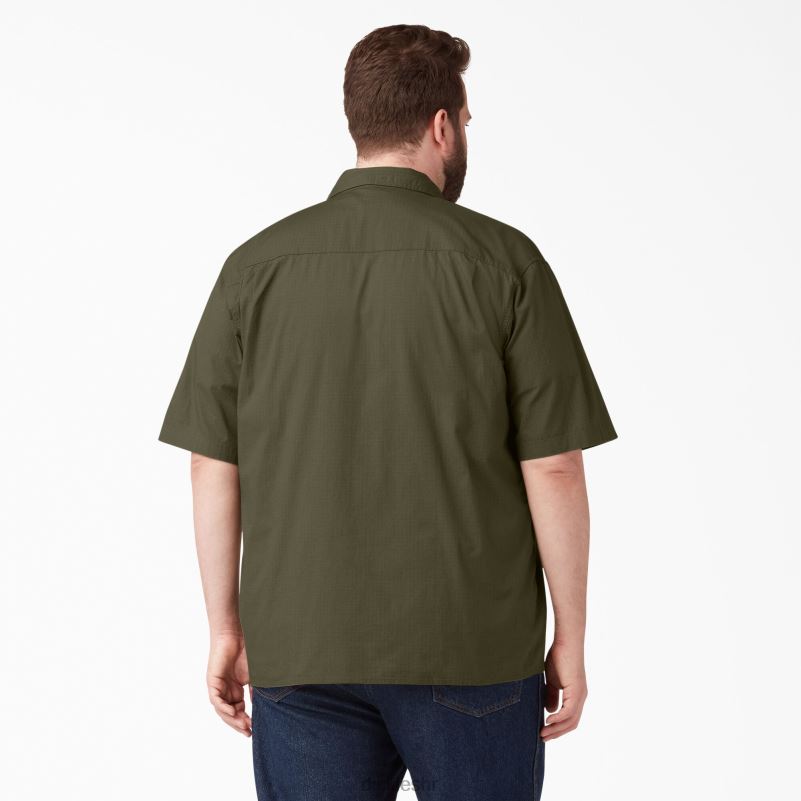 ripstop radna košulja kratkih rukava muškarci Dickies isprano vojno zeleno (rml) 6BPL6646 radna odjeća