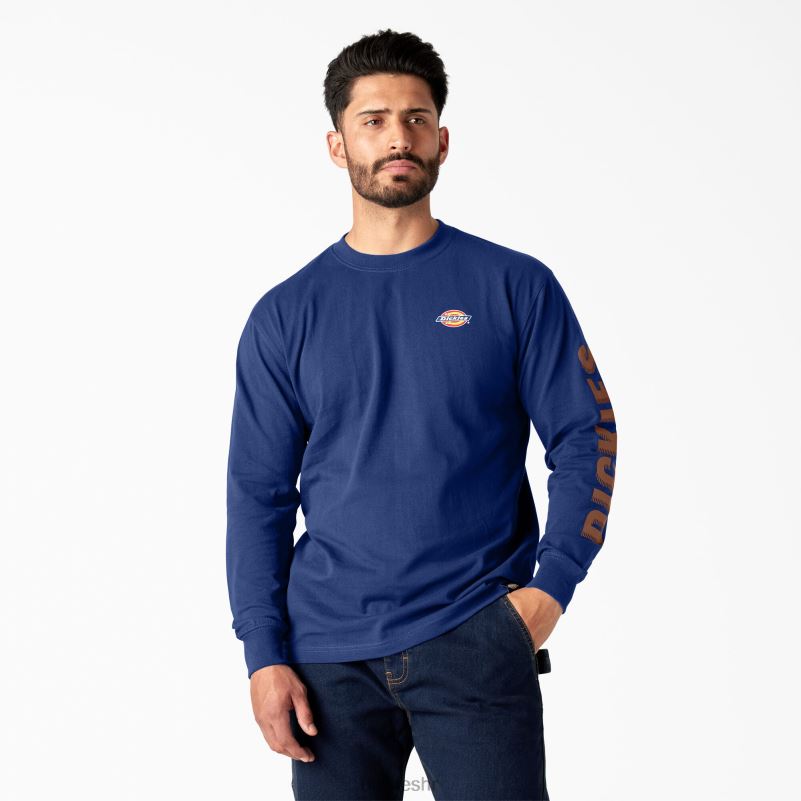 grafička majica s radnom odjećom dugih rukava muškarci Dickies plava za surfanje (fl) 6BPL6578 radna odjeća