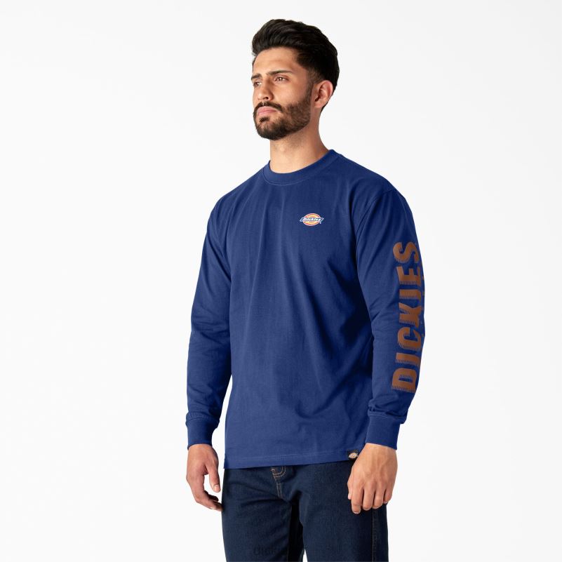 grafička majica s radnom odjećom dugih rukava muškarci Dickies plava za surfanje (fl) 6BPL6578 radna odjeća